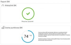 raport bik, ocena bik, punktacja bik, baza BIK, konsolidacja kredytu, konsolidacja chwilówek